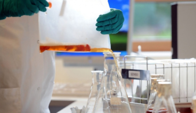 Alemania busca el origen de la bacteria mortal 
