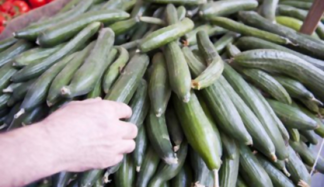 Alemania ahora duda sobre origen de bacteria