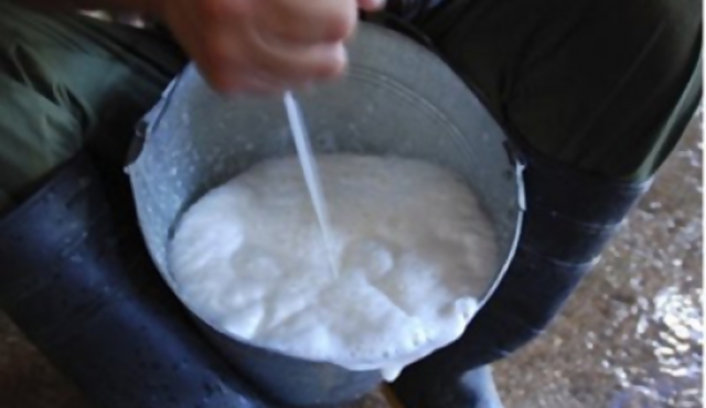 Máximo histórico en consumo de leche