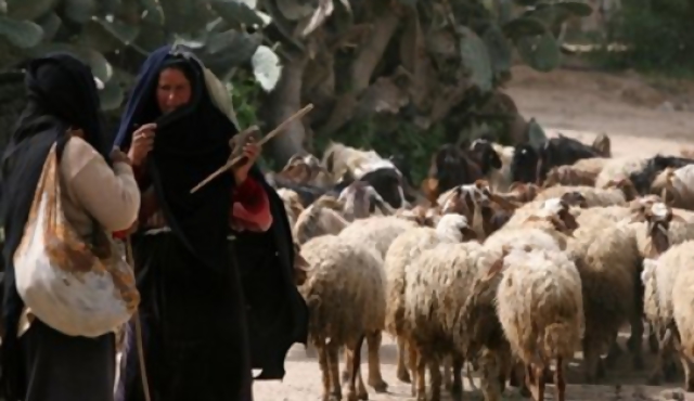 El día de la mujer en Gaza
