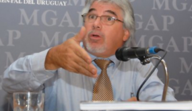 Ultiman detalles de censo agropecuario