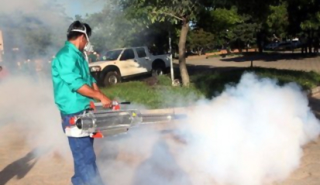 Preocupa presencia del mosquito del dengue en Montevideo
