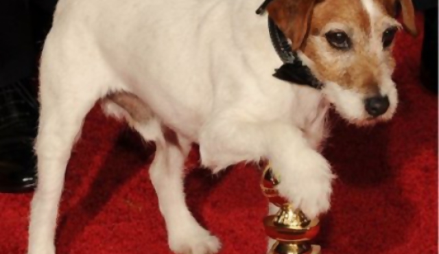 "The Artist" y "Los descendientes", ganadores del Globo de Oro