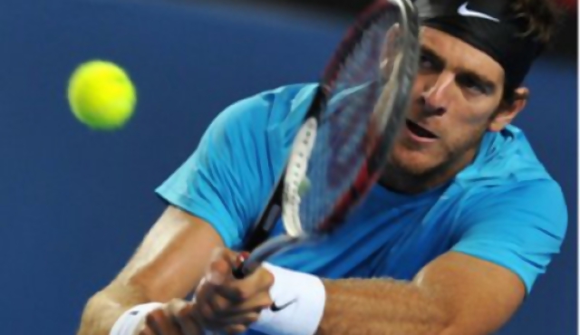 Australia: Del Potro ante Federer en cuartos