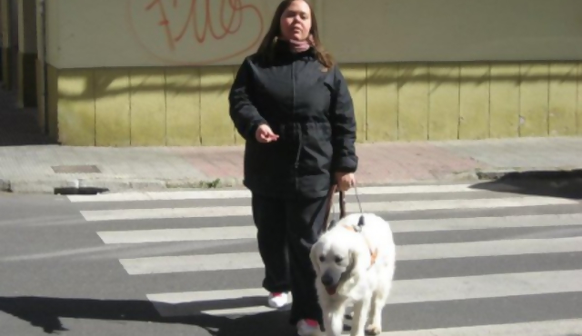 Ciegos uruguayos viajan en busca de sus perros guías 