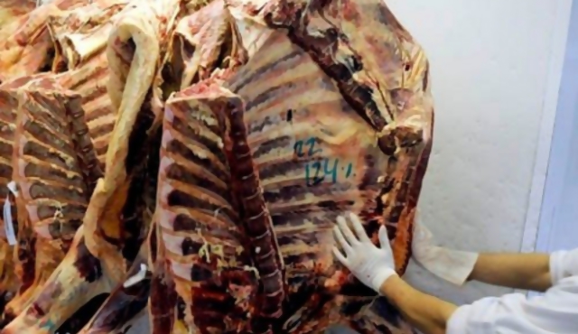 Denuncian "juego político" con el precio de la carne