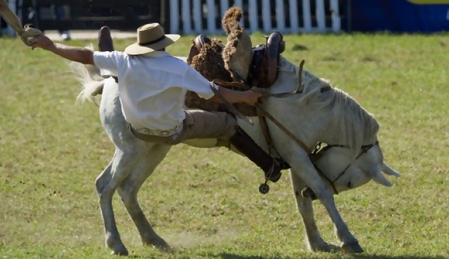 La Criolla 2012 llega a su fin con tribunas colmadas