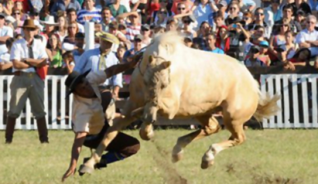 Criolla del Prado con récord de público