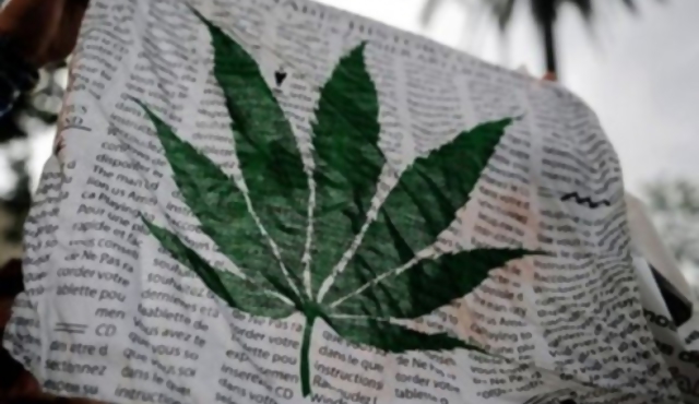 Marihuana: en busca de una nueva legislación