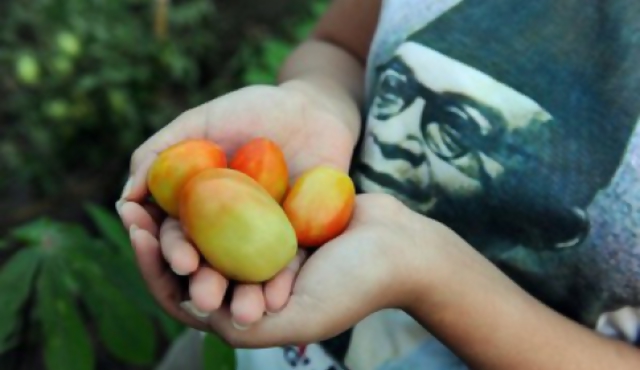 Freeganos: el ideal de vivir sin dinero