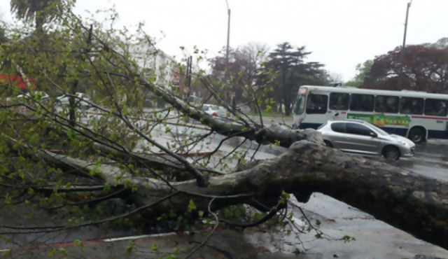 Dos muertos por causa del temporal