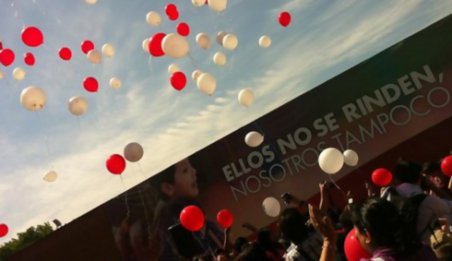 Teletón chilena recaudó 52 millones de dólares