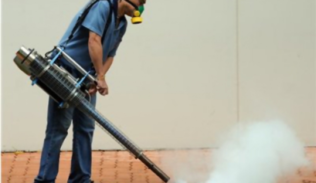 Intendencia fumigará contra mosquitos