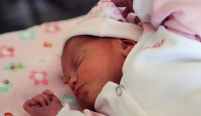 Licencia para padres es necesaria y financiable