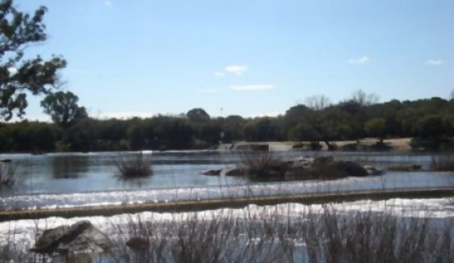 Esperan más datos sobre floración que dio mal olor y sabor al agua