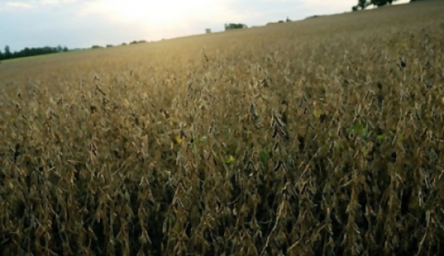 Decreto controla envases de agroquímicos