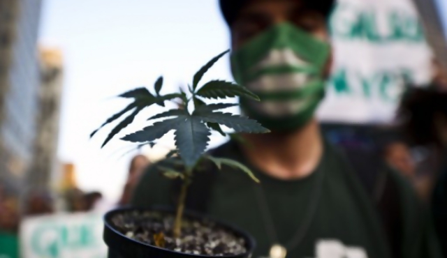 Manifestantes marchan por legalización de la marihuana en Brasil