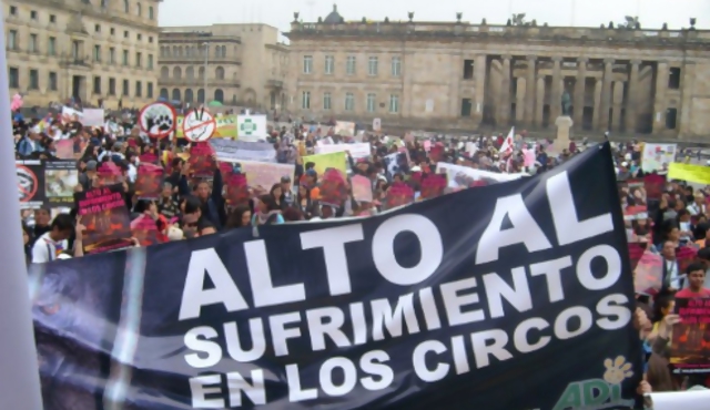 No habrá más animales en los circos de Colombia