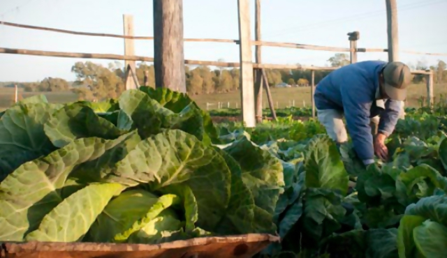 El 30% de los salarios uruguayos no llega a 10.000 pesos