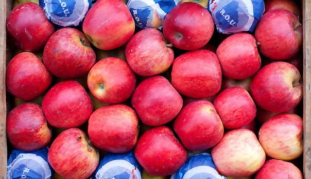 Suba de precios en frutas y hortalizas "no responde a temporal"