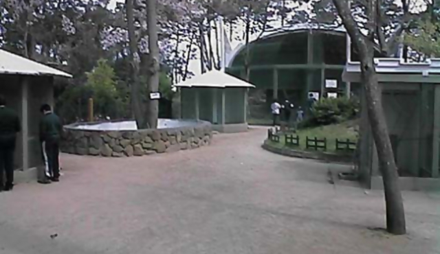 Activistas liberan animales del zoo de Atlántida 