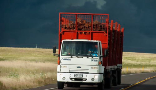 La venta de camiones cero kilómetro aumentó 15% en 2013