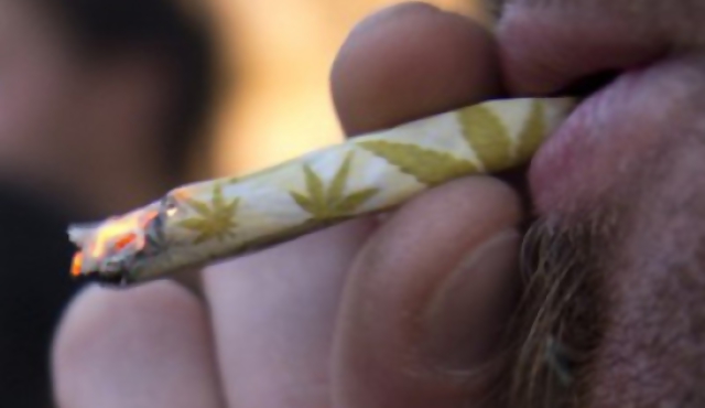 Regulación de la marihuana debería aplicarse a procesados por tenencia