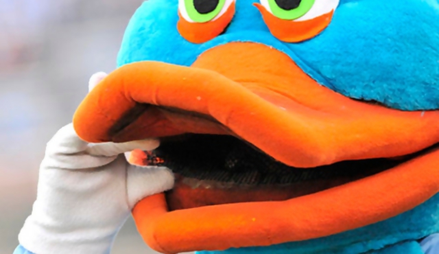 Amado realizó pedido de informes sobre el Pato Celeste