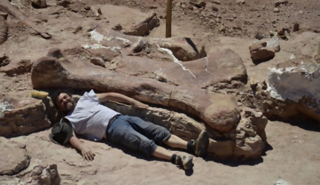 Histórico hallazgo de fósiles de dinosaurios en Argentina