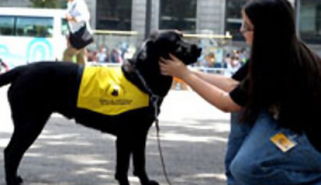 Hospital de Ojos dona terrenos a fundación de perros guías 