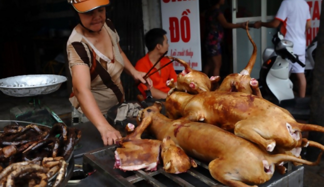 Gastronomía vietnamita pasa de la carne de perro a la de gato