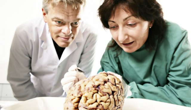 Del alzhéimer a la robótica, los impactos del GPS cerebral
