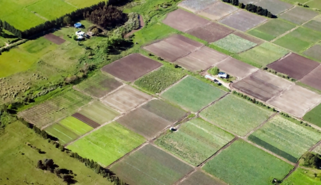 Soja ocupó 86% de área de cultivos de verano en la cosecha 2013-2014