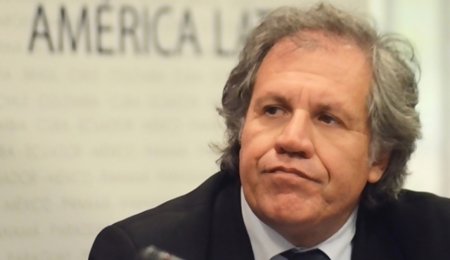 Elección en la OEA comenzará el 18 de febrero