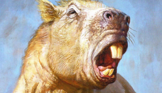El roedor gigante que mordía más fuerte que un león