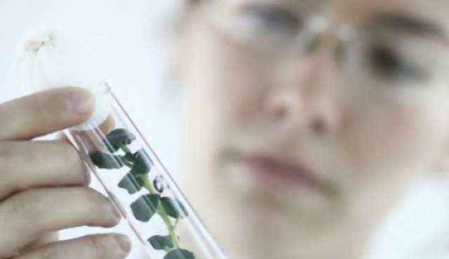 Biotecnología con fines sociales