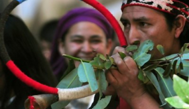Unicef pide proteger a niños mapuches