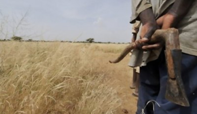 Africa sueña con "gran muralla verde" para frenar avance del Sahara  