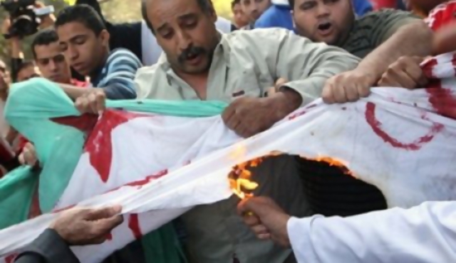 Crisis diplomática por partido entre Egipto y Argelia 
