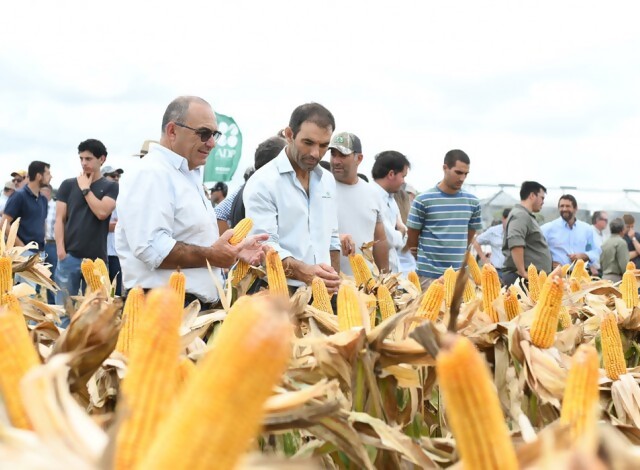 Portal 180 - ADP-Agronegocios del Plata renueva su evento de actualización de cultivos de verano